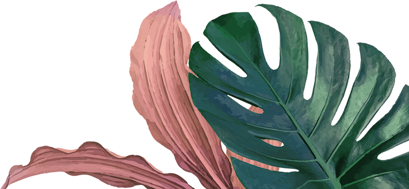 Lay Bare Plus Background